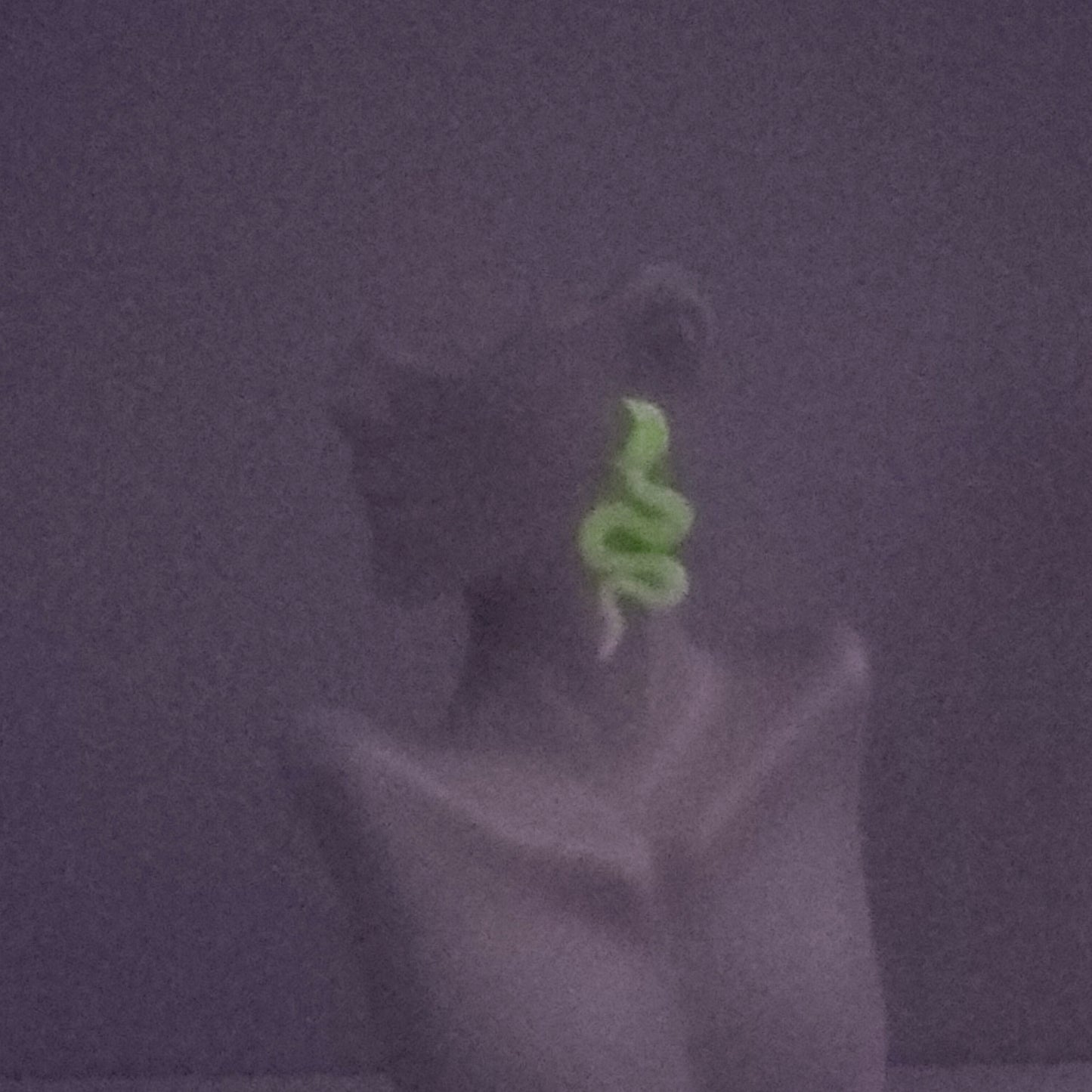 GLOW SNAKES