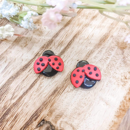 LADYBIRD